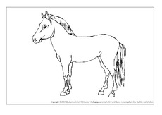 Pferd-1.pdf